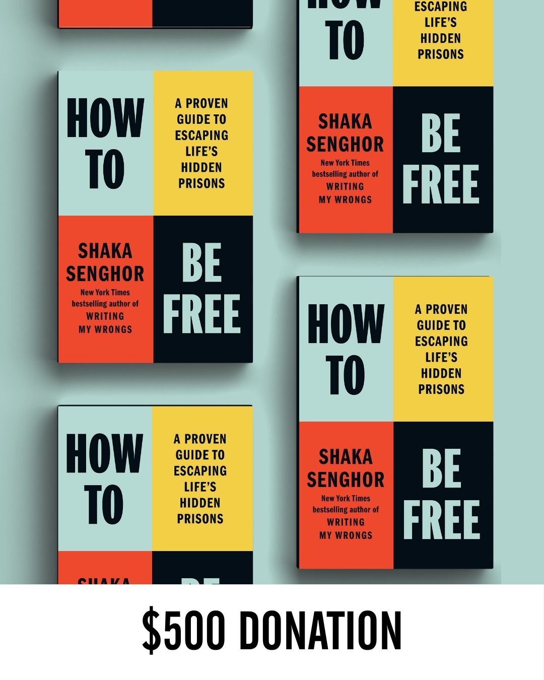A $500 Donation Equals 25 Books