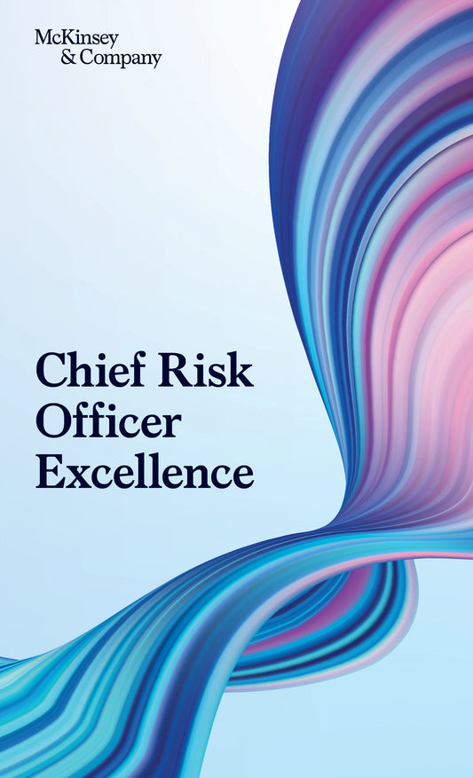 Chief Risk Officer Excellence
